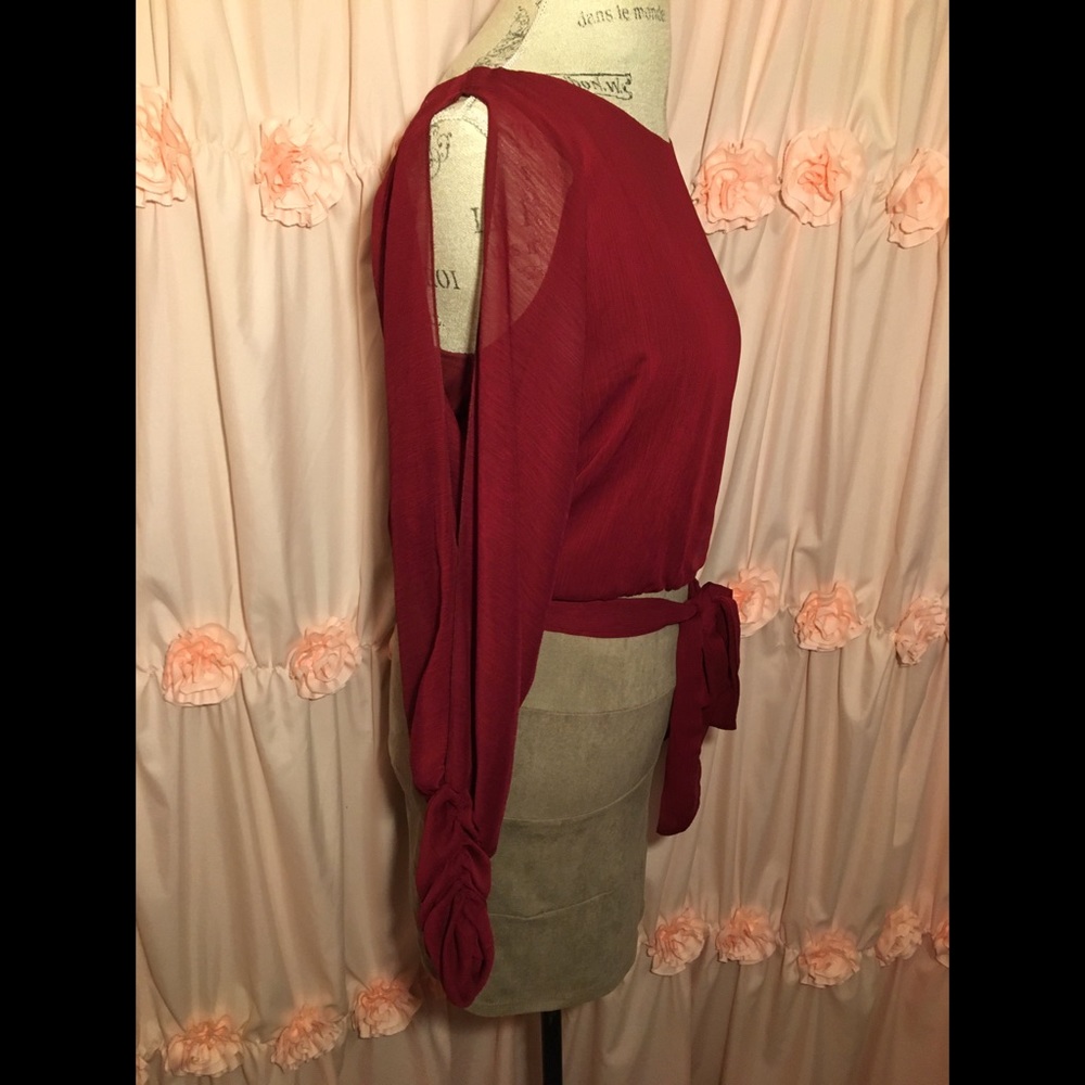 Burgundy Sheer Tan Suede Long Sleeve Dress - Picture 6 of 9